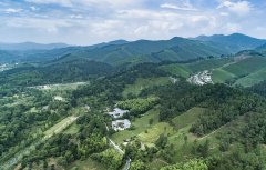 祭祀岳阳市陵园公墓